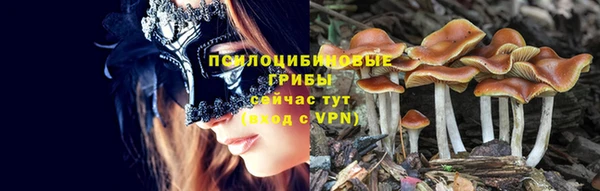 мескалин Козельск