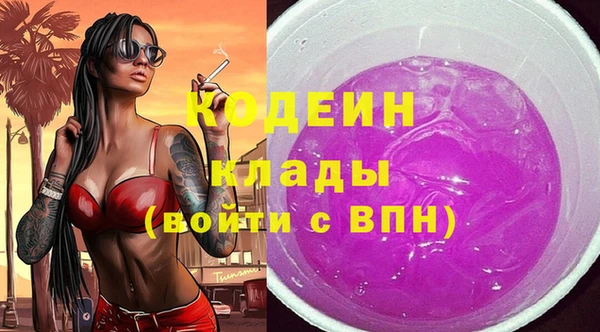 стаф Корсаков